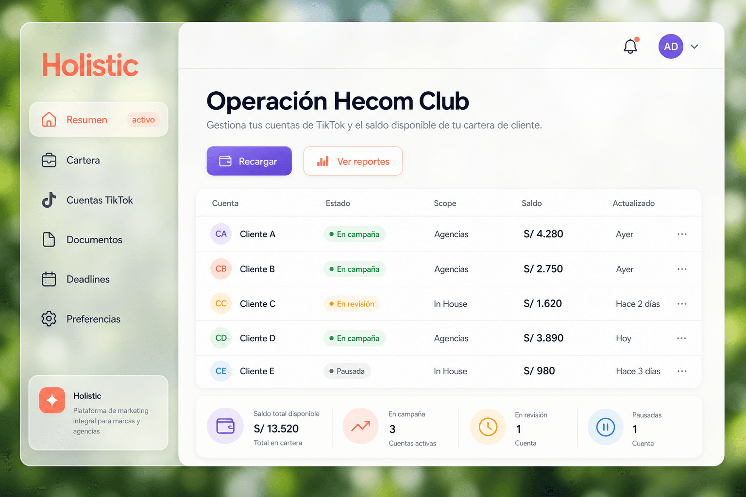 Holistic Marketing — panel de cartera, cuentas TikTok y operación Hecom